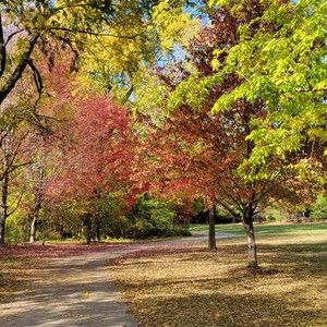 Meet your Posher, Pat